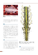 NEW LLL PUBLISHER 【世界動物病院協会】