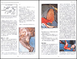 NEW LLL PUBLISHER 【世界動物病院協会】