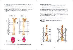 NEW LLL PUBLISHER 【世界動物病院協会】