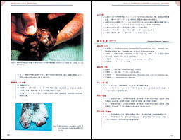 NEW LLL PUBLISHER 【世界動物病院協会】